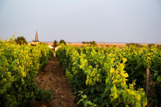Coteaux du Giennois