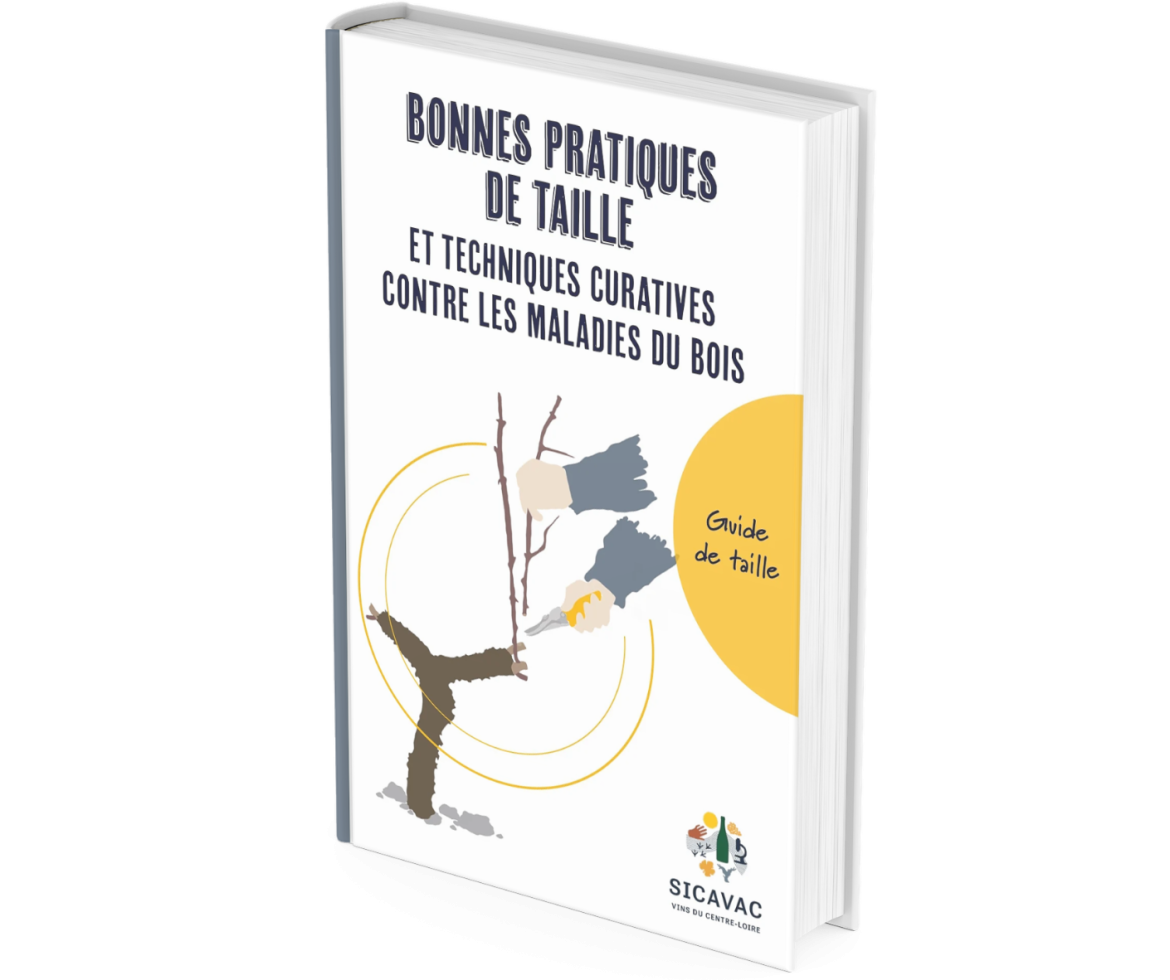 Guide Taille - Centre-Loire