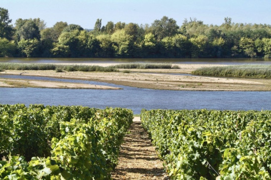 Pouilly sur Loire